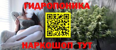 гашик Гусь-Хрустальный