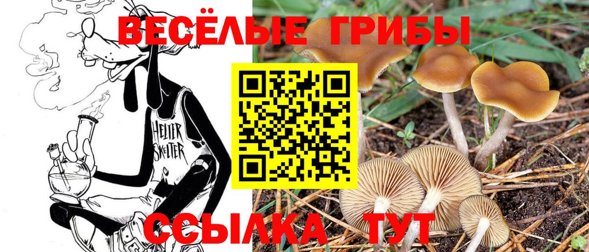 Галлюциногенные грибы мицелий  Вход с VPN  Кандалакша  Галлюциногенные грибы GOLDEN TEACHER 