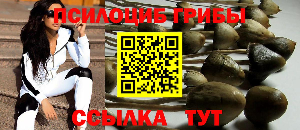 Псилоцибиновые грибы MAGIC MUSHROOMS Кандалакша